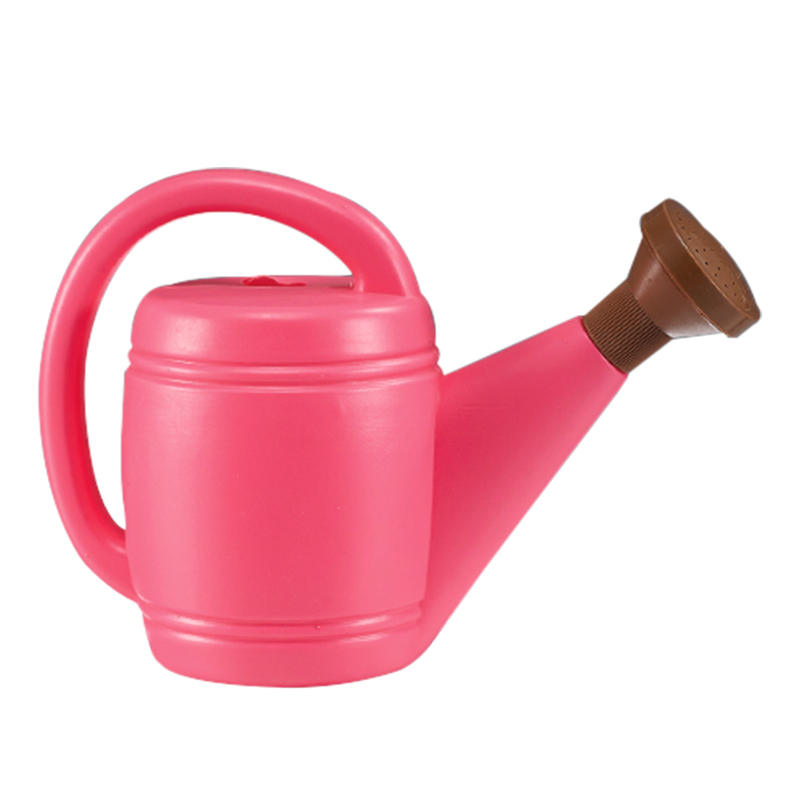 Discover Convenience and Durability with the Plastic Watering Can