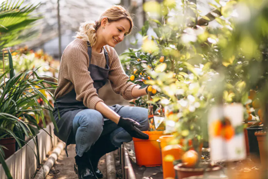 What Is The Principle Of The Watering Can?