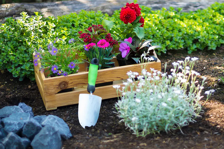 Gardening Tools