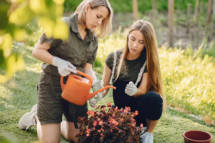 Garden Tool Development